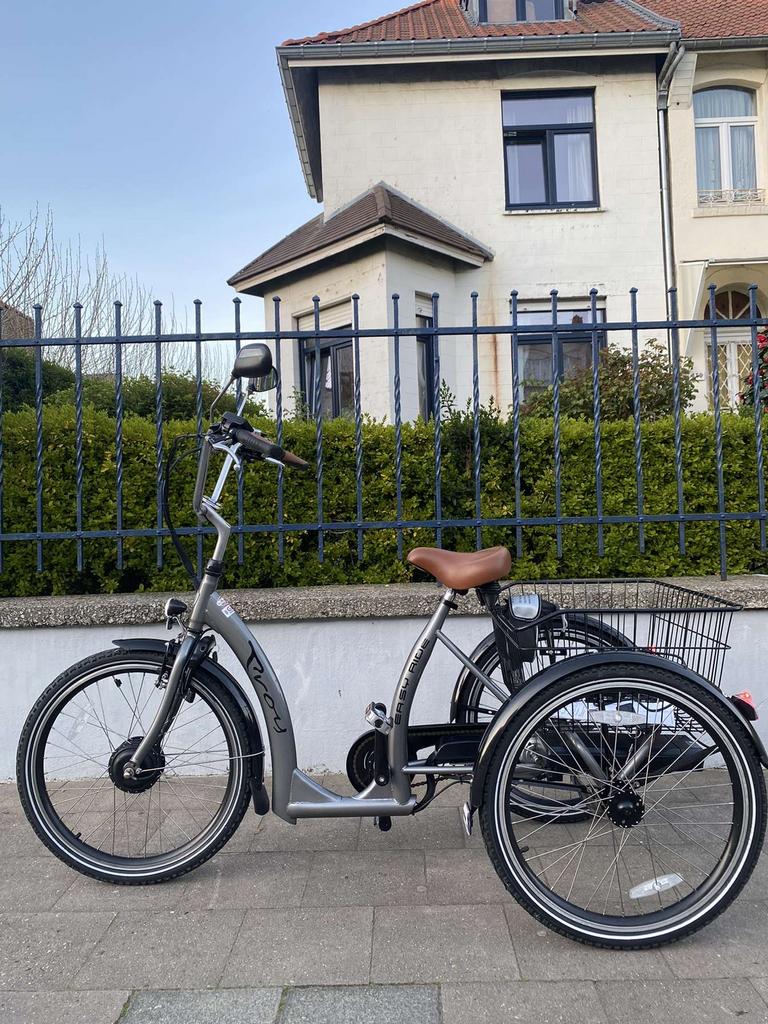 Tricycle à assistance électrique Easy Rider Proxy ( Nieuw ), Enlèvement ou Envoi, Neuf
