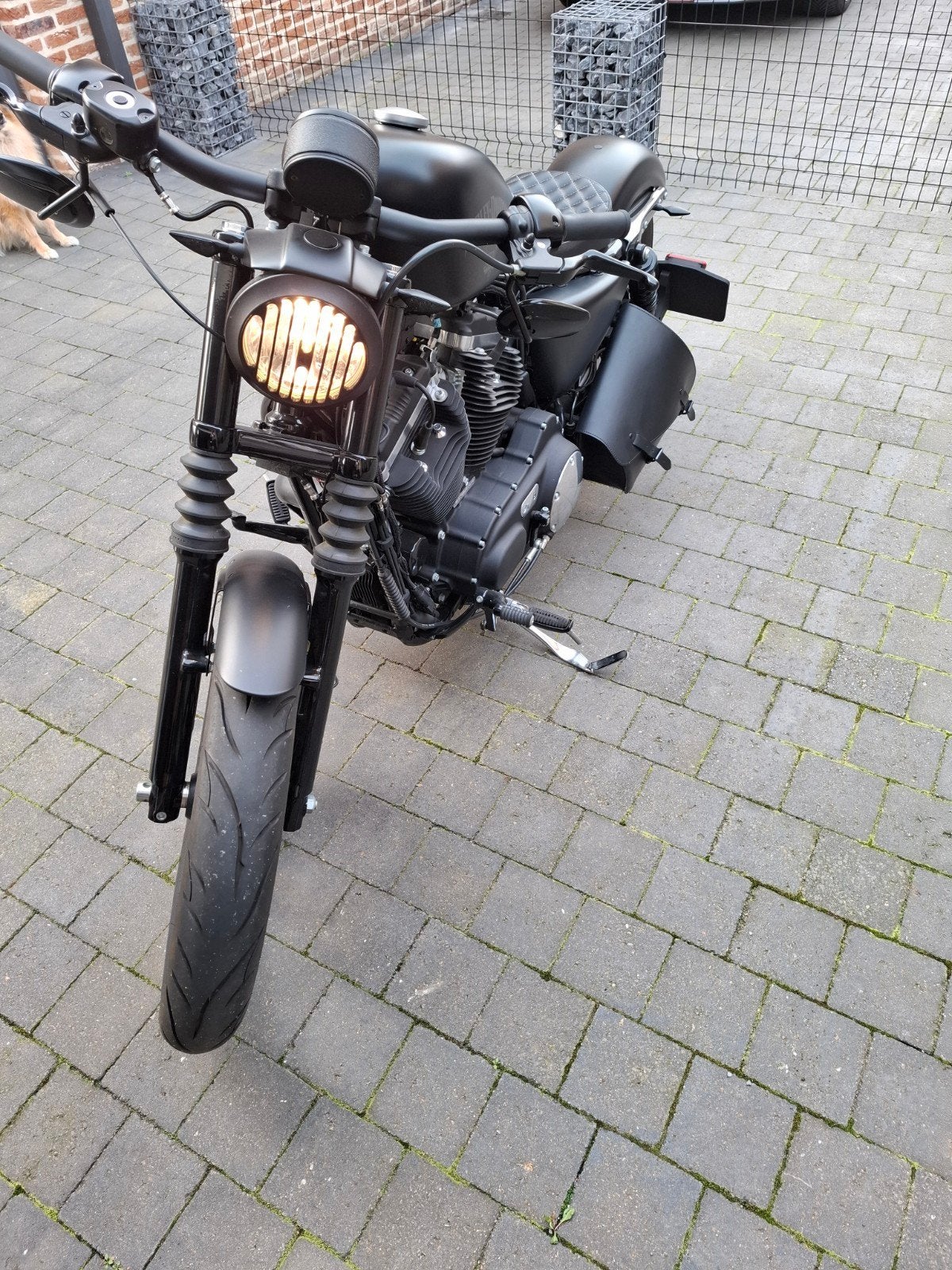 Harley iron mat zwart 883, Motoren, Motoren | Harley-Davidson, Particulier