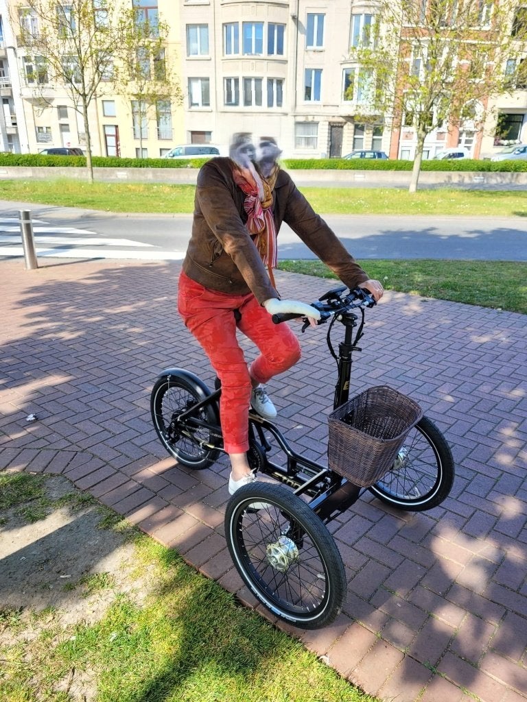 Vélo électrique tricycle, Vélos & Vélomoteurs, Vélos | Tricycles, Neuf, Enlèvement