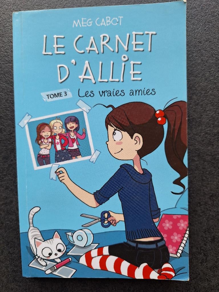 Le carnet d'Allie - tome 3 les vraies amies - Meg Cabot, Fiction, Enlèvement, Utilisé, Meg Cabot