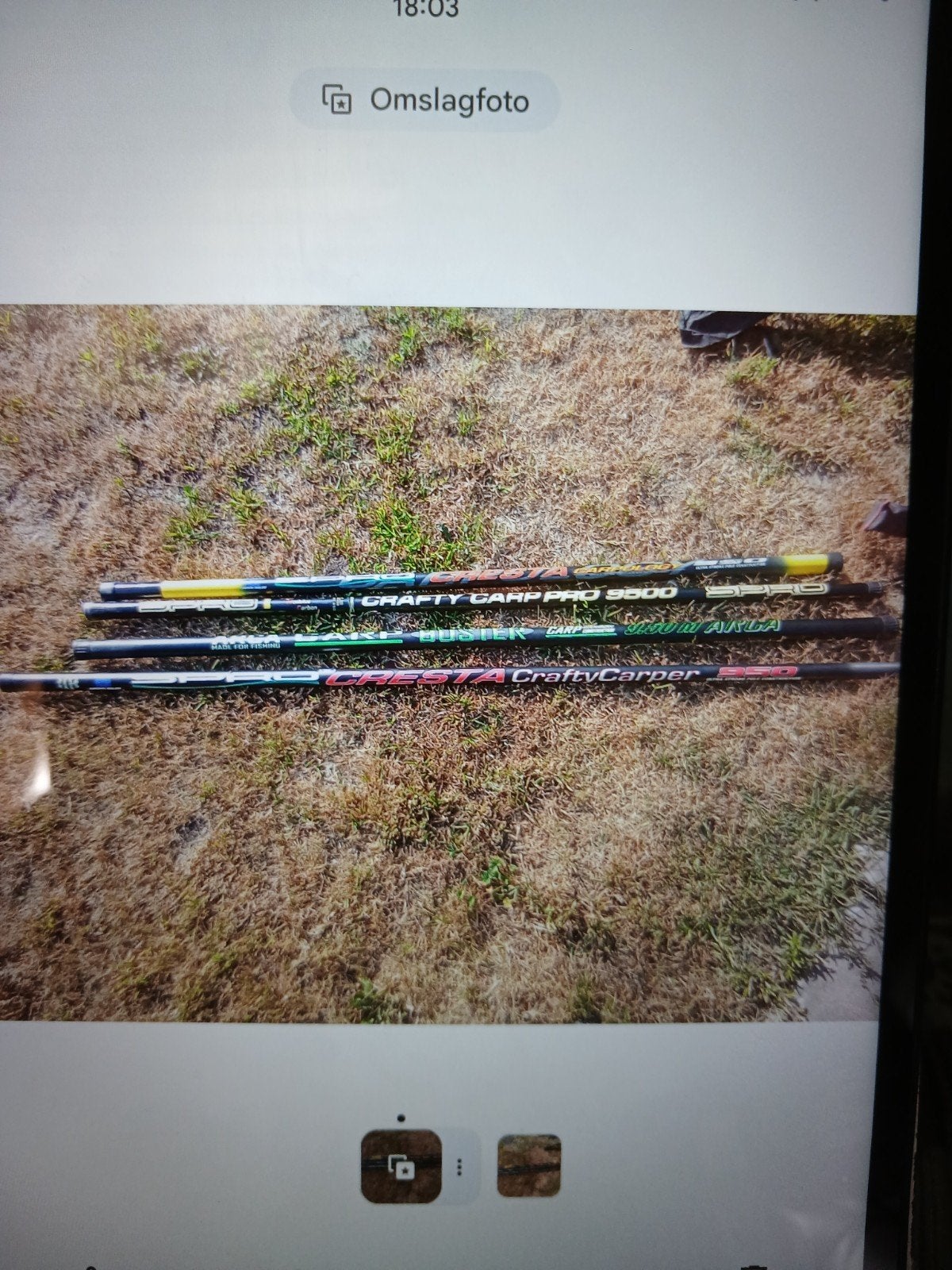 Visgrief 4 stoken voor carper van 9 .5 meter schepnet zak, Ophalen