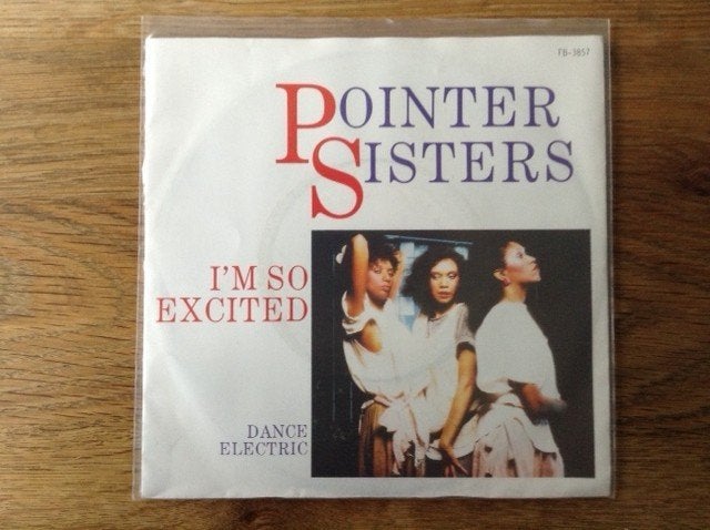 single pointer sisters, 7 inch, Ophalen of Verzenden, Beschermende buitenhoes, R&B en Soul