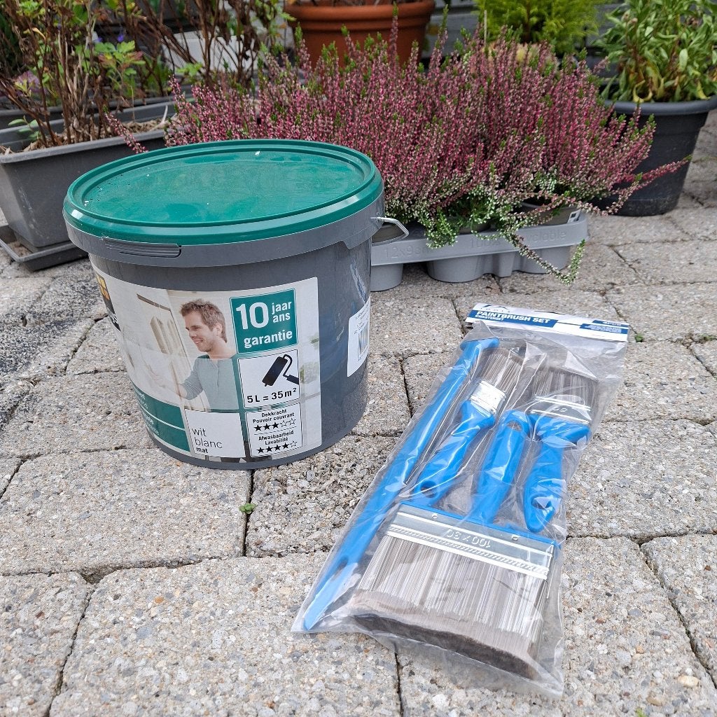 Peinture murale extérieure avec pinceau gratuit, Neuf, Enlèvement, Peinture, 5 à 10 litres