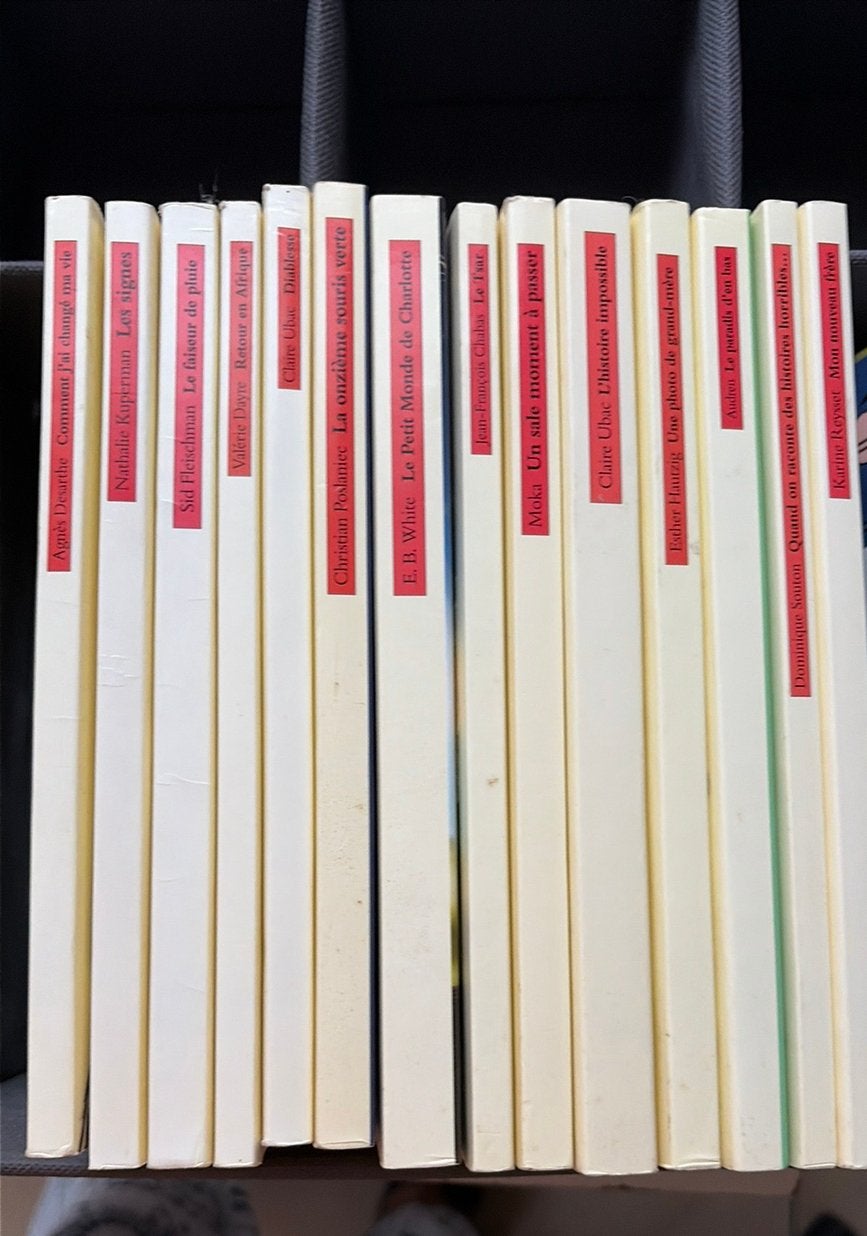 Collection maximax de l’école des loisirs, Enlèvement, Comme neuf