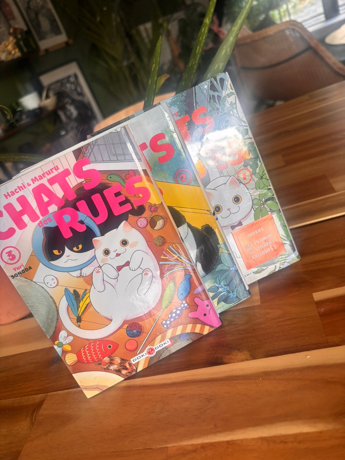 Hachi & Maruru Chats des rues vol 1 + 2 + 3, Boeken, Ophalen, Zo goed als nieuw