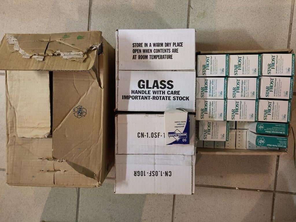 Lames d'histologie / de microscope, grand lot de laboratoire, Enlèvement ou Envoi