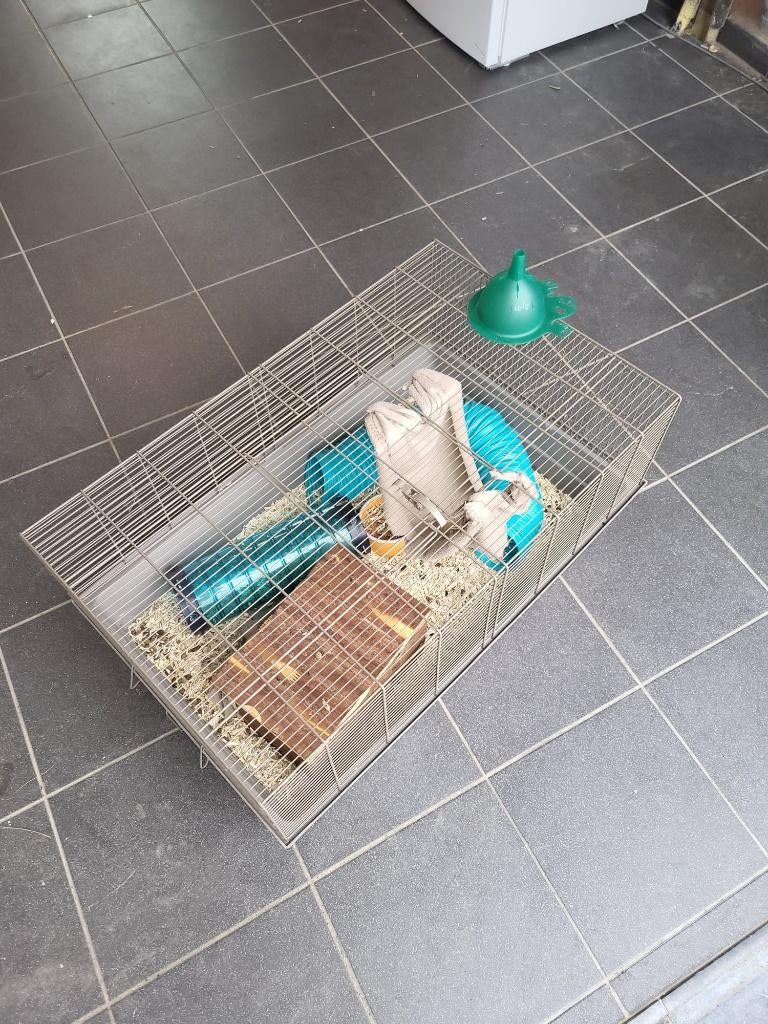 Cage pour hamsters, Animaux & Accessoires, Enlèvement ou Envoi, Cage, Comme neuf, Moins de 75 cm