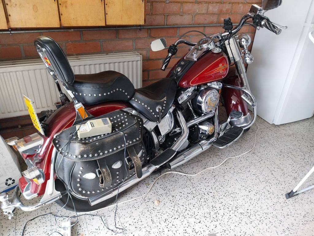 Harley Davidson, Motos, Particulier