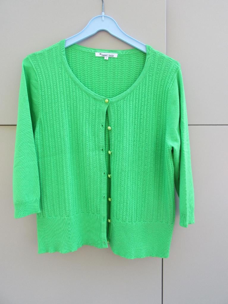 Fris groen truitje maat L, Kleding | Dames, Sweet soda, Maat 42/44 (L), Ophalen of Verzenden, Zo goed als nieuw
