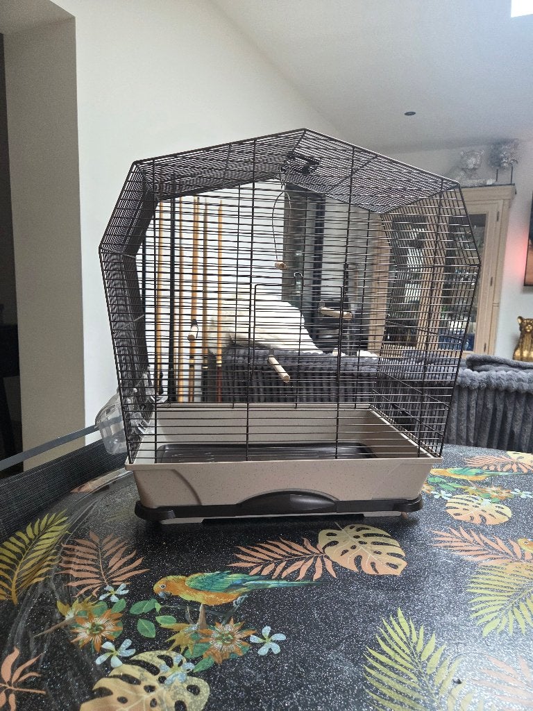 Grande Cage à oiseau, Animaux & Accessoires, Enlèvement