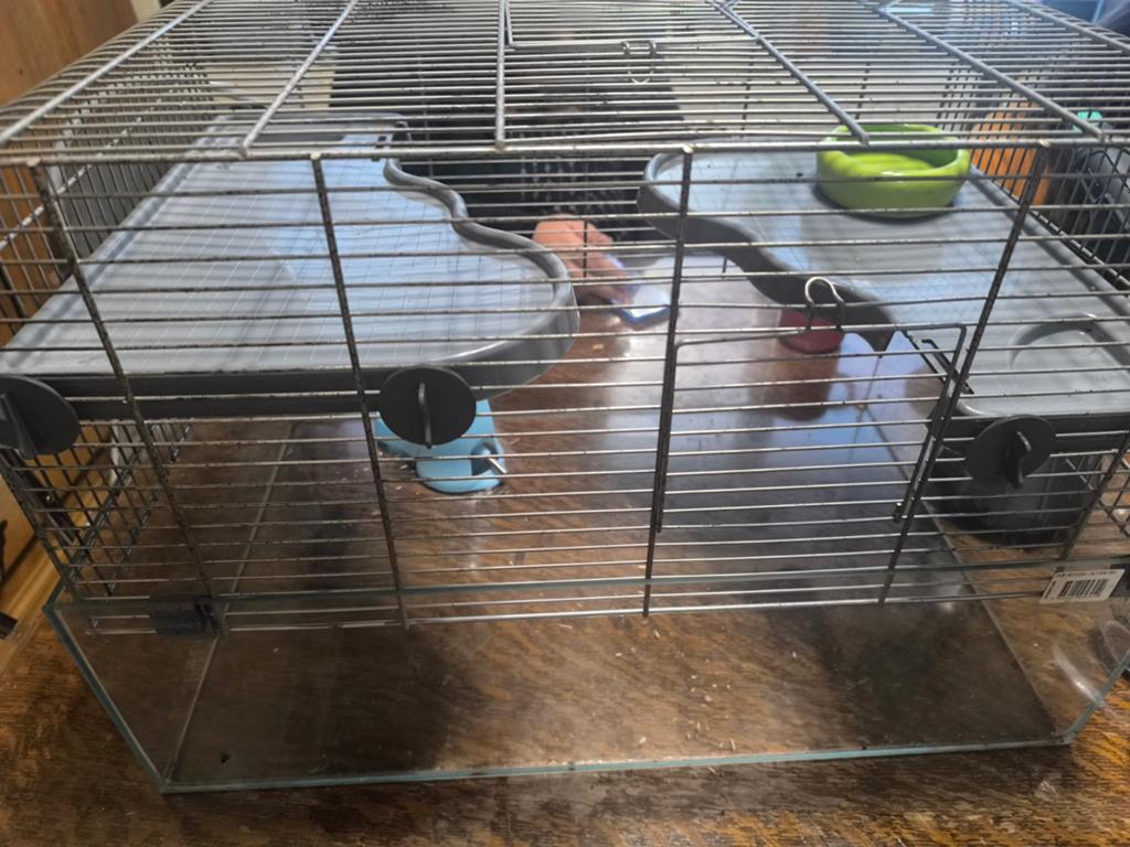 Cage rongeur, Animaux & Accessoires, Enlèvement, Cage