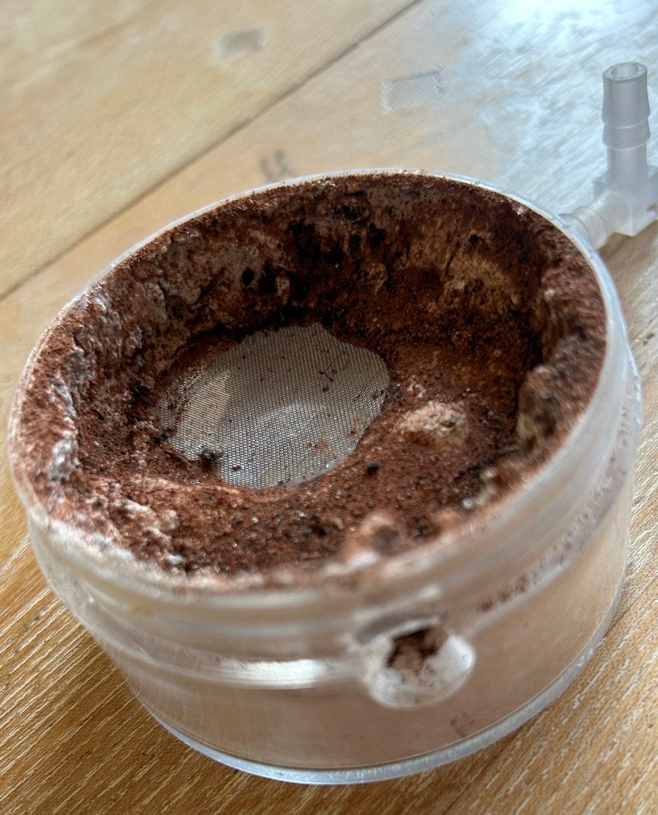 Mieren nest / mieren ant kolonie, Dieren en Toebehoren, Insecten en Spinnen, Mieren