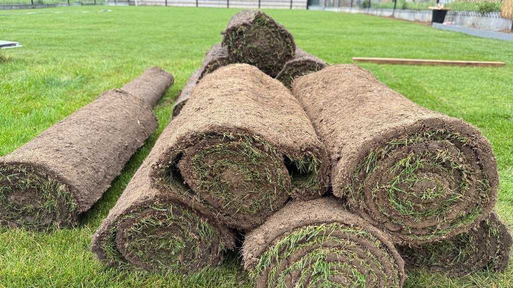 Gazon haut de gamme 17m2, Enlèvement, Neuf, 10 à 20 m², Herbe