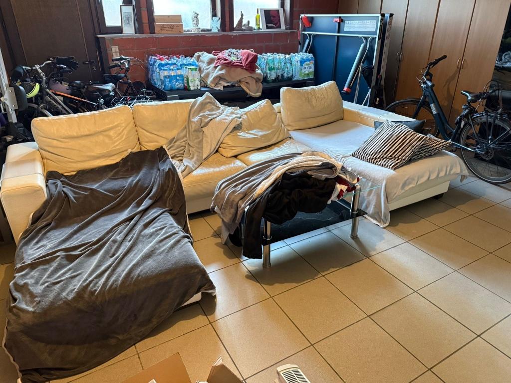 Zetel beige natuzzi GRATIS, 100 à 125 cm, 250 à 300 cm, Banc d'angle, Quatre personnes ou plus
