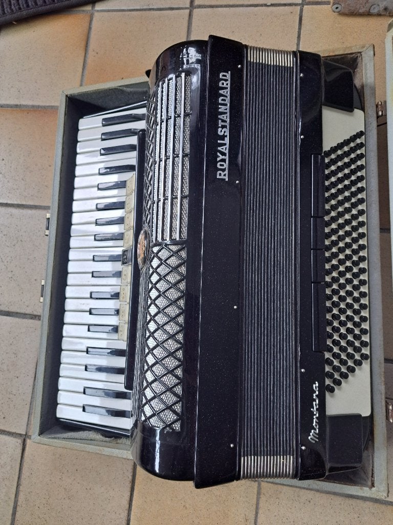 Accordeon, Musique & Instruments, Enlèvement, Utilisé, Avec valise