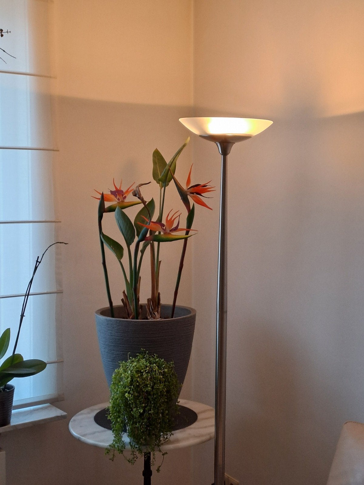 Stijlvolle RVS vloerlamp Met Dimmer, Ophalen