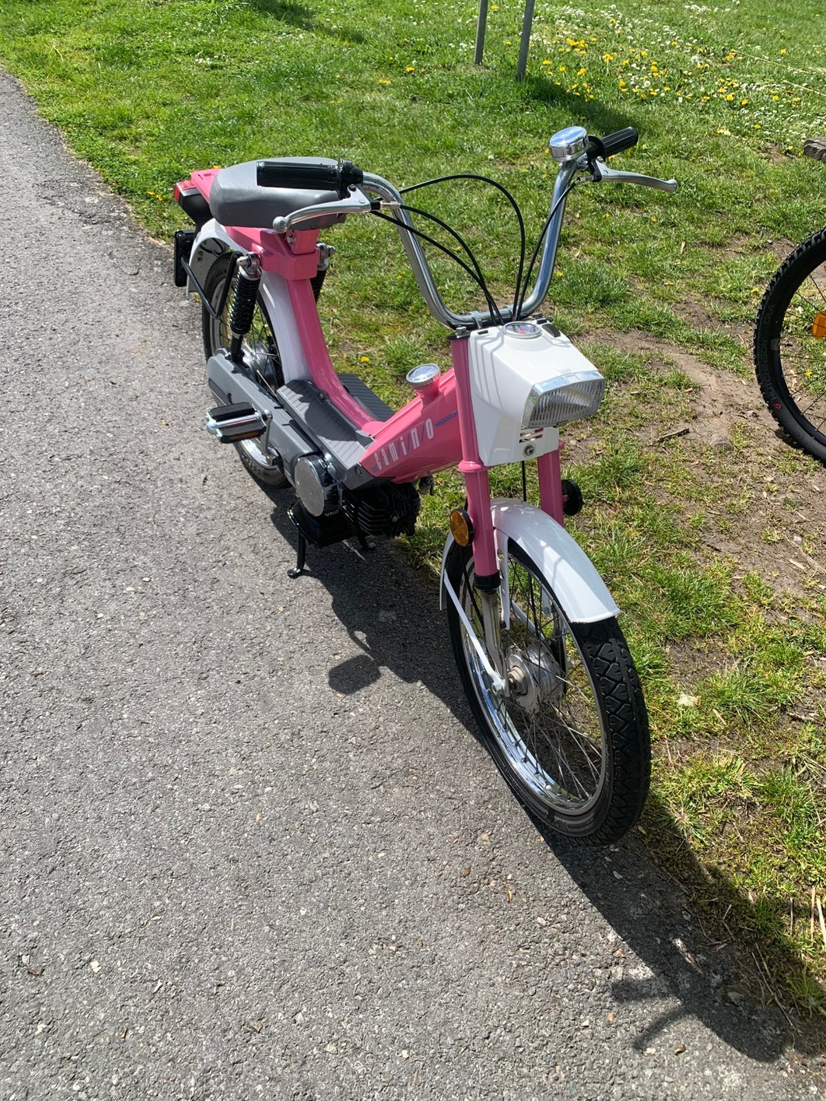 Honda camino A (mono ), Enlèvement