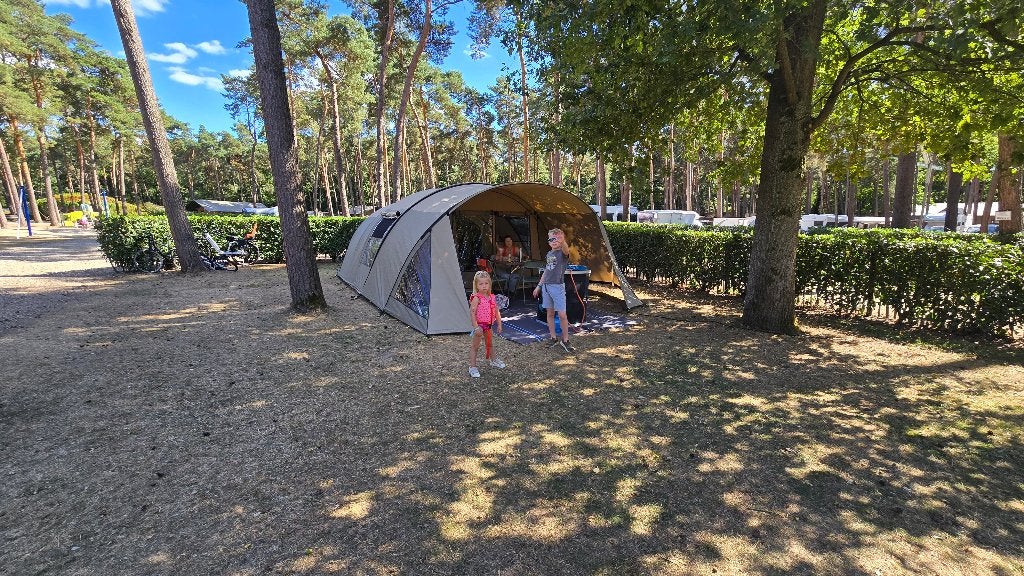 2025 Falco Havik 4600 tunneltent met bijna alle extra's, Caravans en Kamperen, Tenten, tot en met 6, Zo goed als nieuw, Ophalen