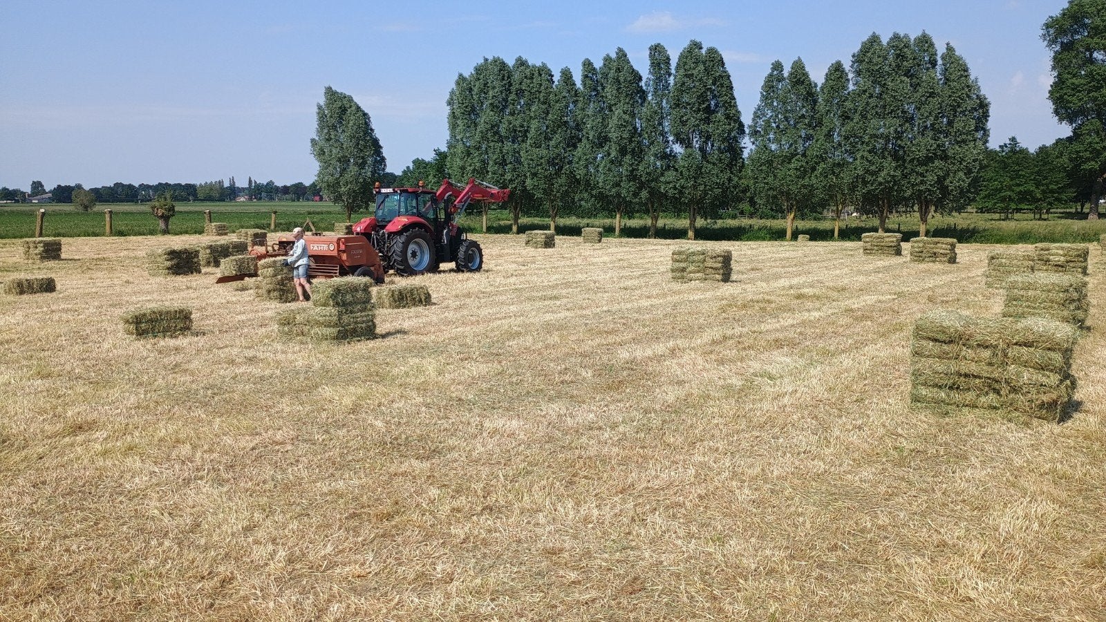 Mooi droog hooi voor paarden 2 de snede, Enlèvement, Autres espèces