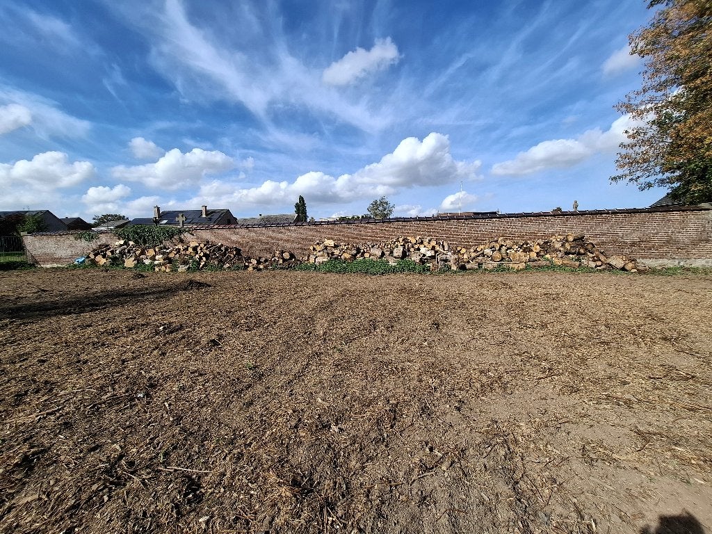 Bois de chauffage, Jardin & Terrasse, Enlèvement, Hêtre, Bûches