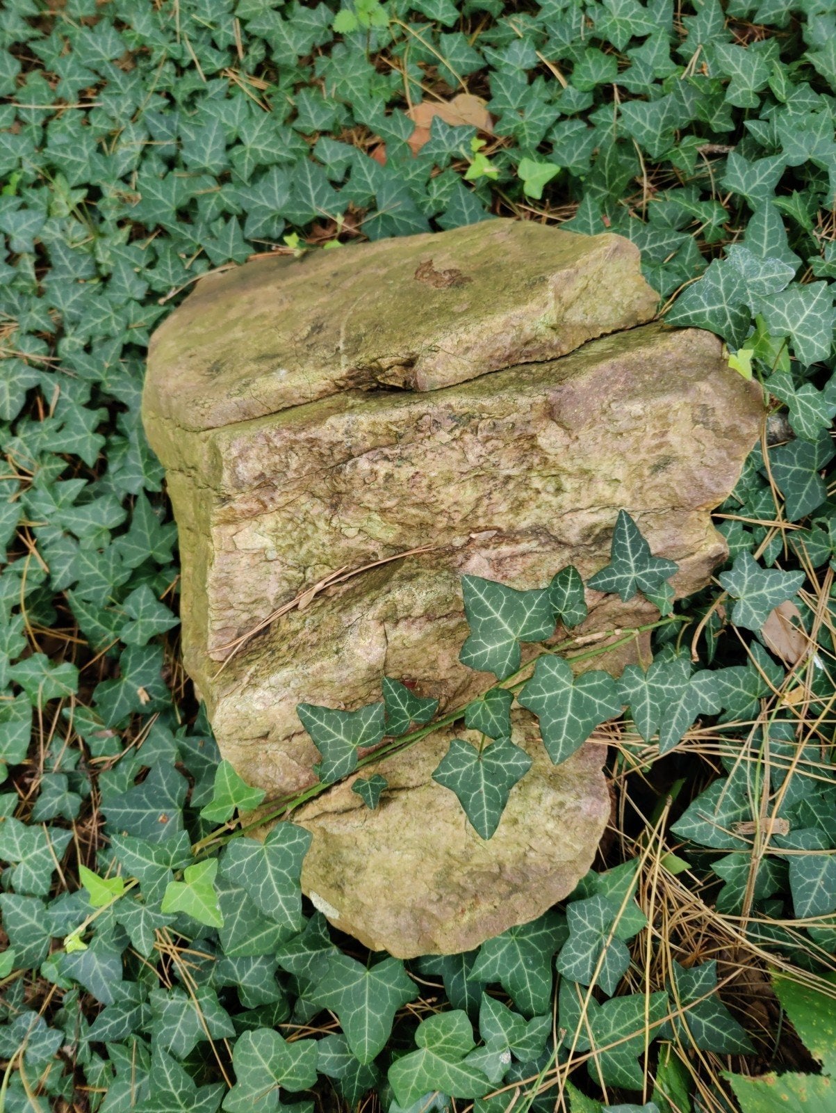 Vijverstenen, Ophalen
