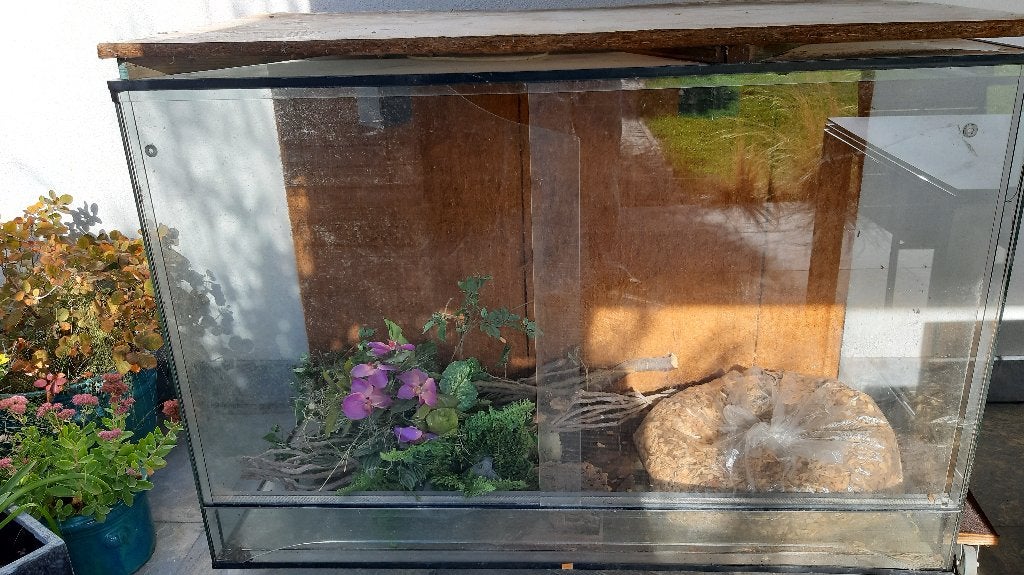 terrarium, Dieren en Toebehoren, Ophalen, Gebruikt, Overige typen