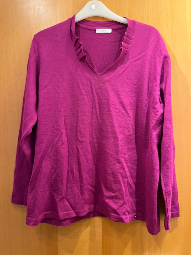 Trui lucia maat 48, Kleding | Dames, T-shirts, Ophalen of Verzenden, Zo goed als nieuw, Maat 46/48 (XL) of groter