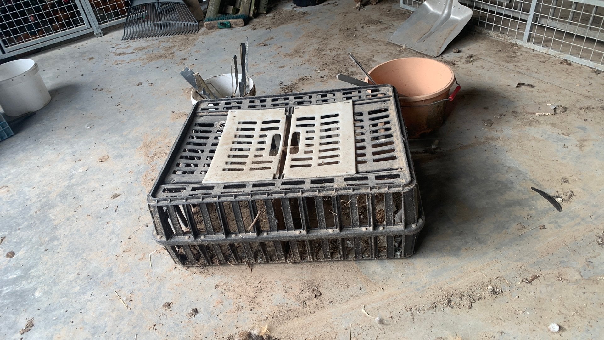 Boîte de transport pour poulets divisée en 3 compartiments