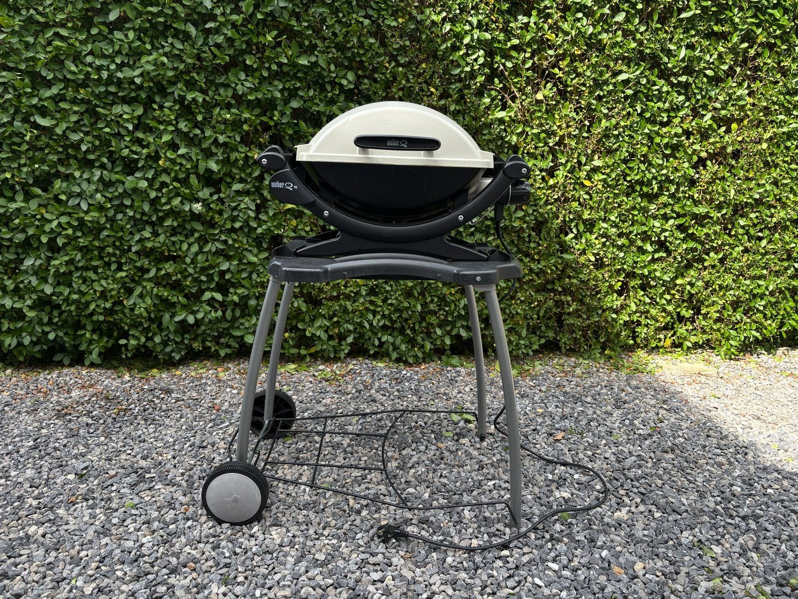 Barbecue électrique avec support, Jardin & Terrasse, Barbecues électriques, Utilisé, Enlèvement