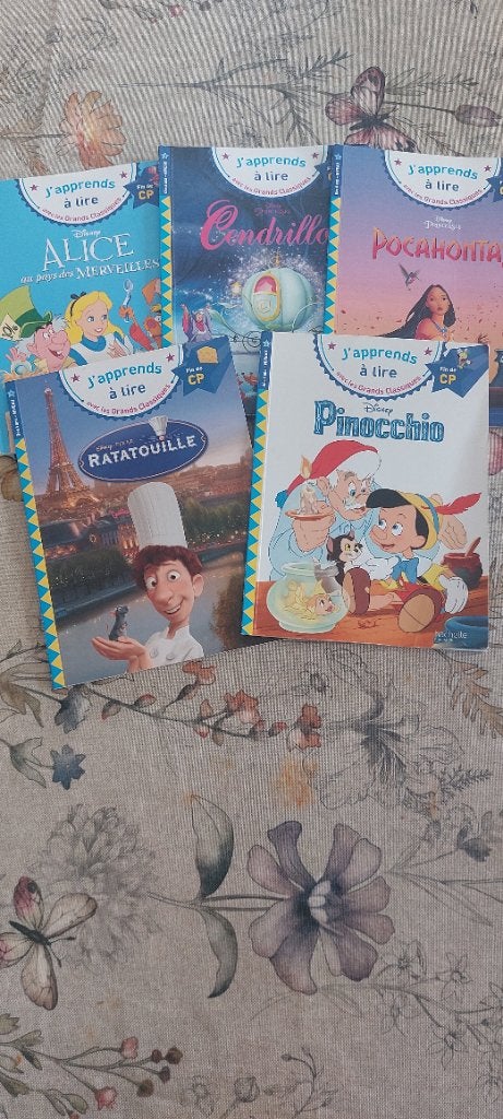 Livres "j'apprends à lire" fin cp, Livres, Enlèvement, Utilisé