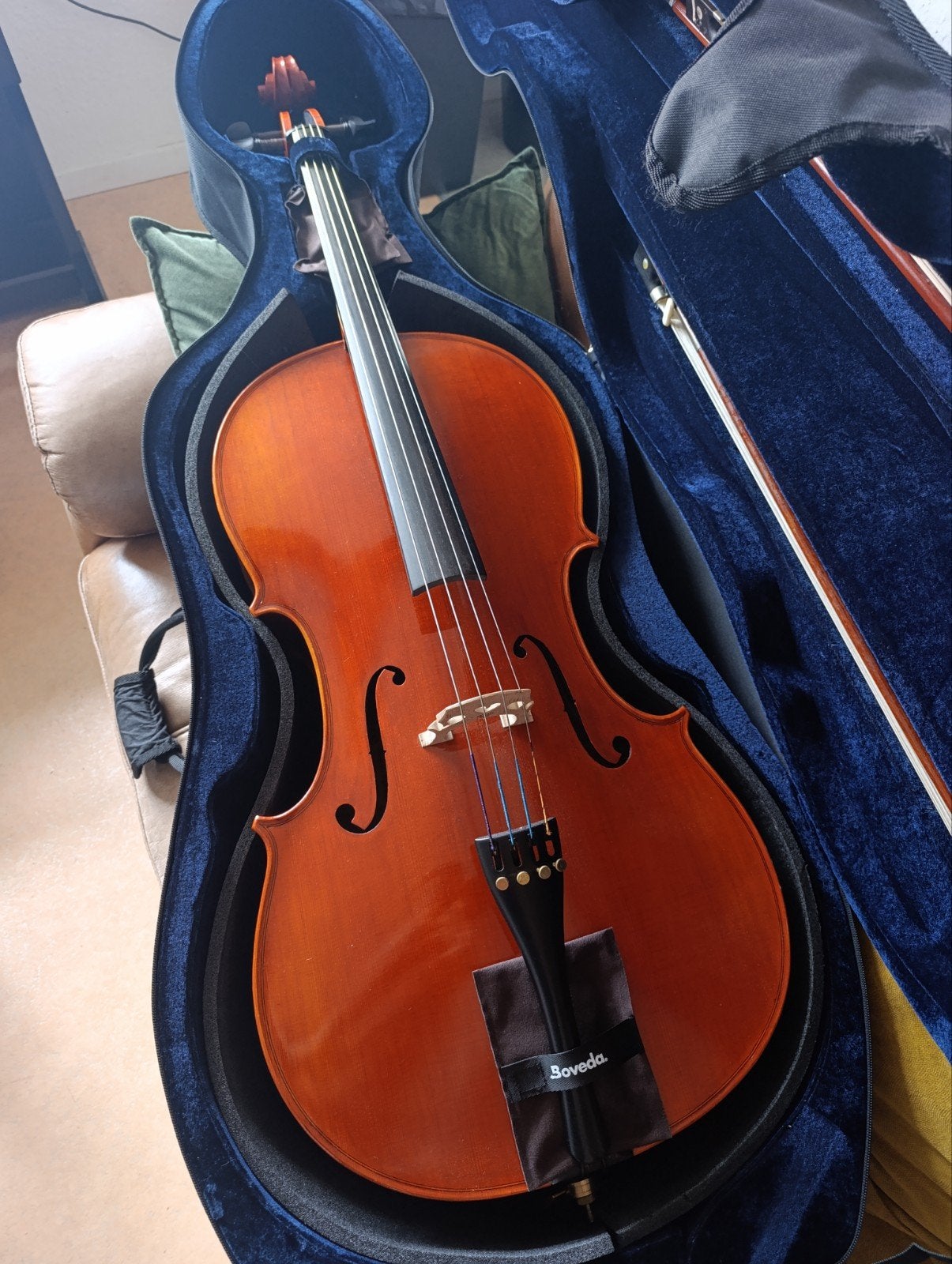 Violoncelle Eastman VC250 7/8, Enlèvement, Neuf, Violoncelle 7/8