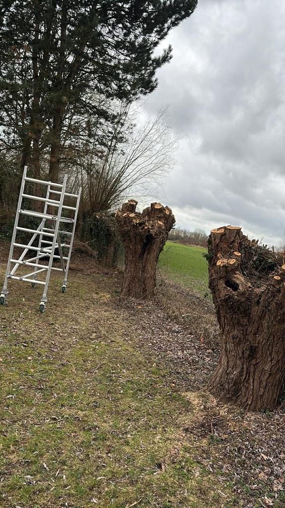 Entretient jardin, Enlèvement ou Envoi