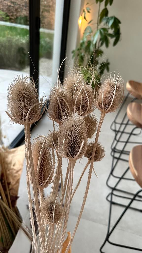Droogbloemen, Ophalen, Zo goed als nieuw