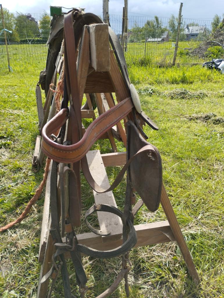 Hoofdstel en gareel voor trekpaard, Ophalen