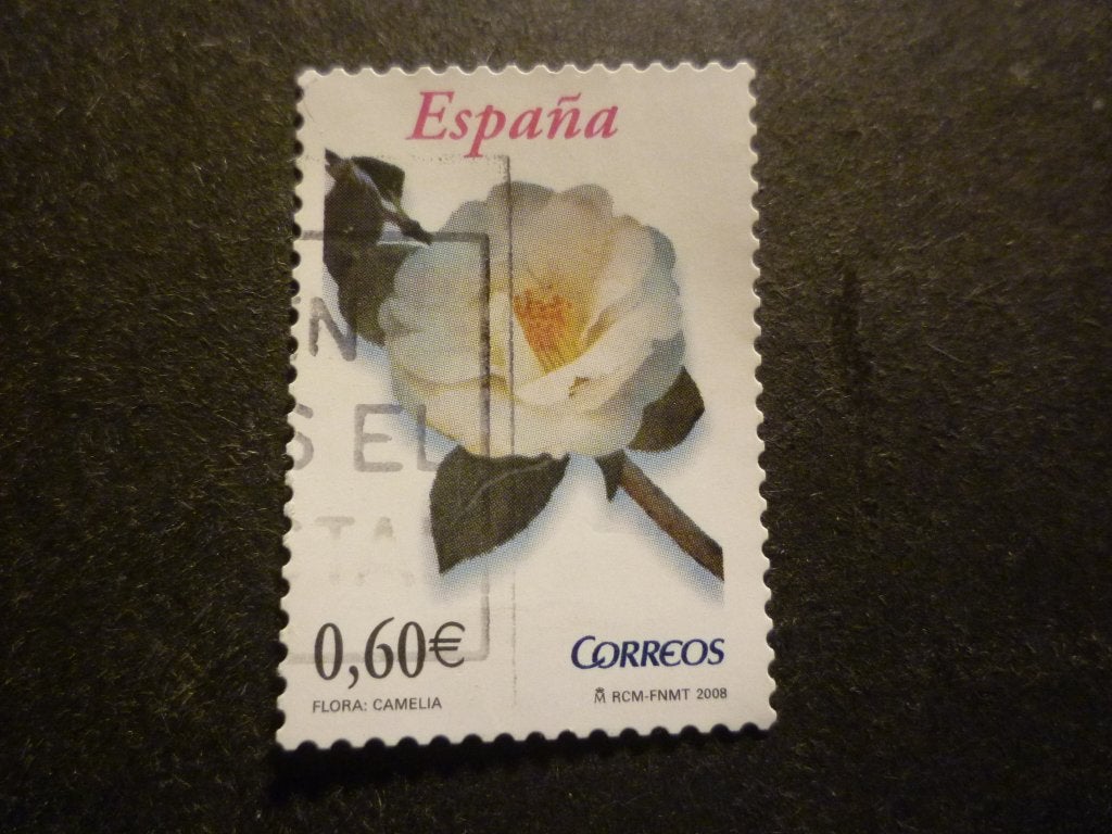 Spanje/Espagne 2008 Mi 4288(o) Gestempeld/Oblitéré, Envoi