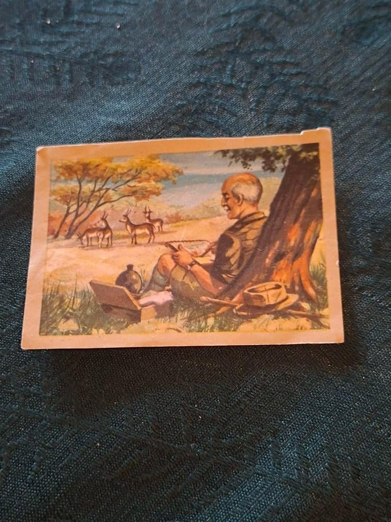 Prentje/Chromo : Laatste voorschriften van Baden-Powell, Enlèvement ou Envoi, Gravure, Utilisé, Autres sujets/thèmes