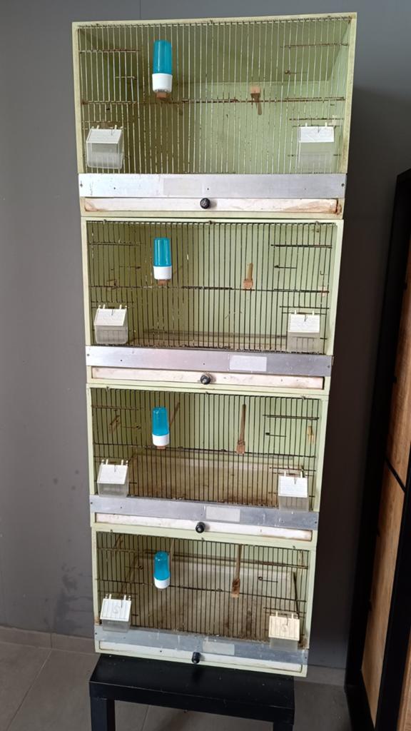 4 houten kweekkooien te koop, Dieren en Toebehoren, Vogels | Hokken en Kooien, Ophalen, Gebruikt, Hout, Broedkooi of Kweekkooi