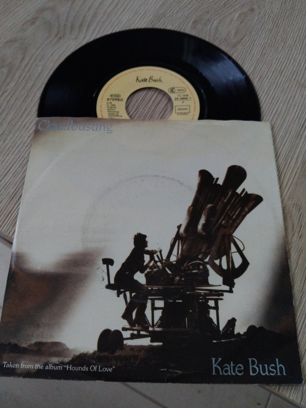 Kate Bush, Enlèvement ou Envoi