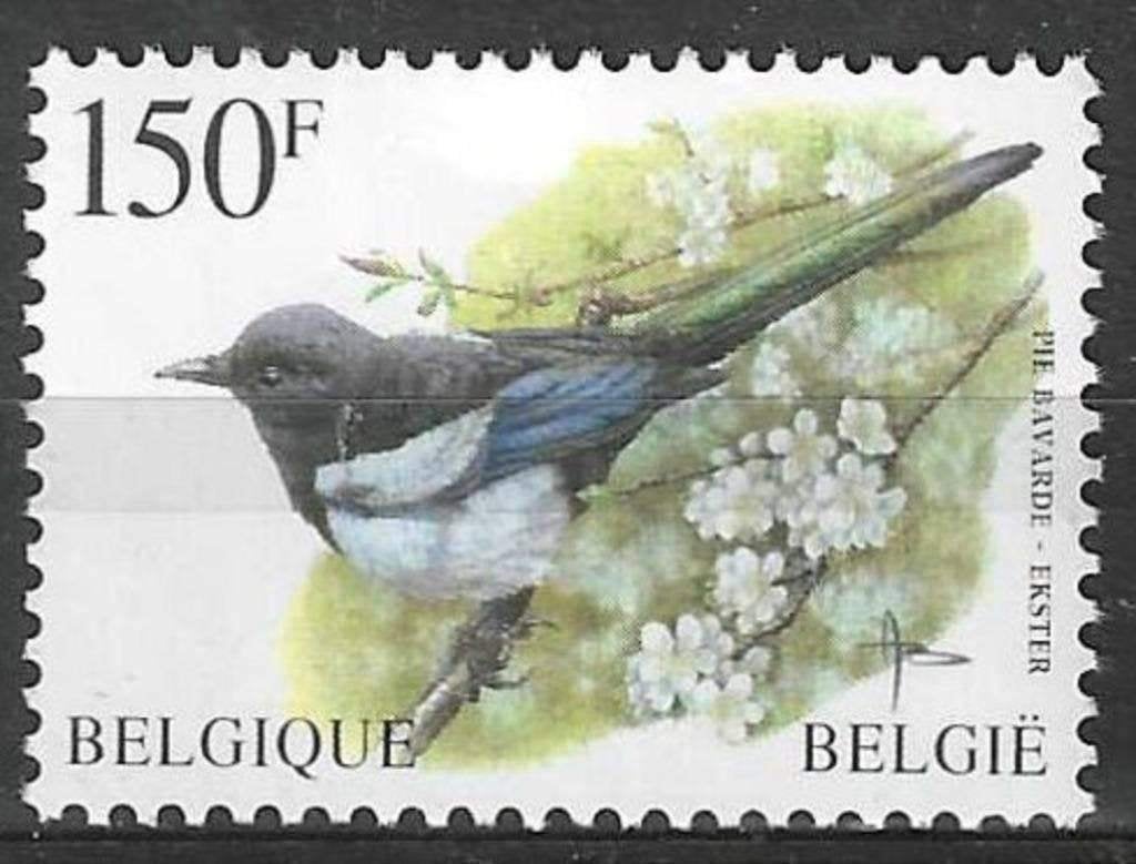 Belgique 1997 - Yvert 2696 /OBP 2697 - Buzin - Magpie (PF), Timbres & Monnaies, Envoi, Non oblitéré, Neuf, Véhicules