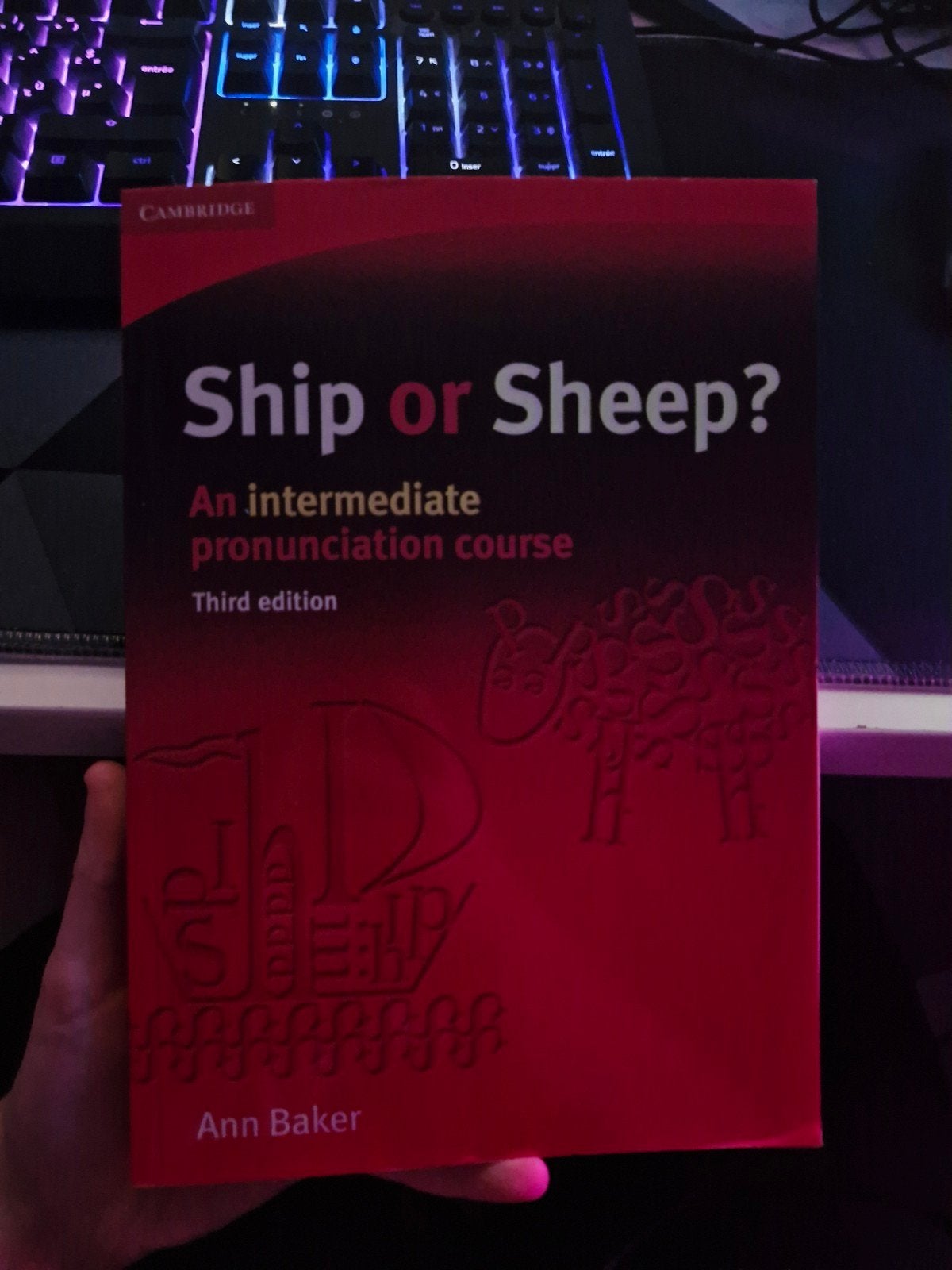 Ship or Sheep, Enlèvement ou Envoi, Neuf, Enseignement supérieur professionnel, Ann Baker