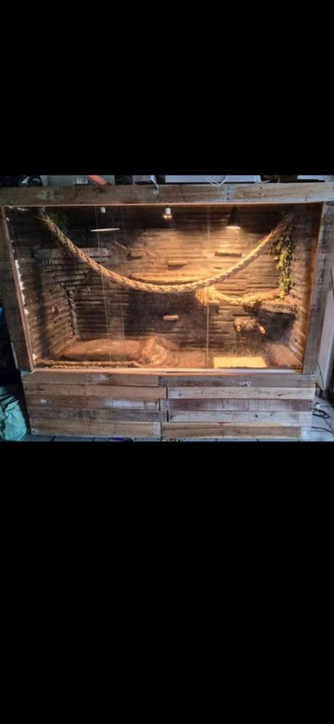 Terrarium groot, Dieren en Toebehoren, Ophalen, Zo goed als nieuw