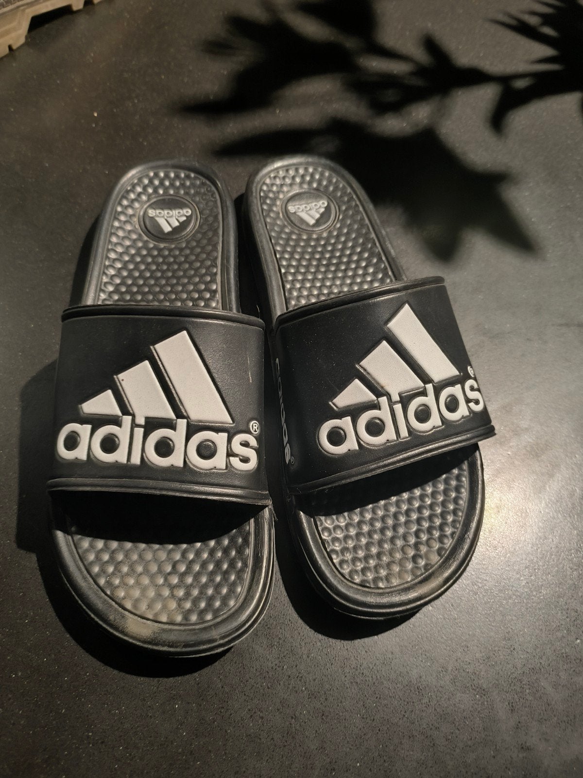 adidas maat 44, Vêtements | Hommes, Enlèvement ou Envoi