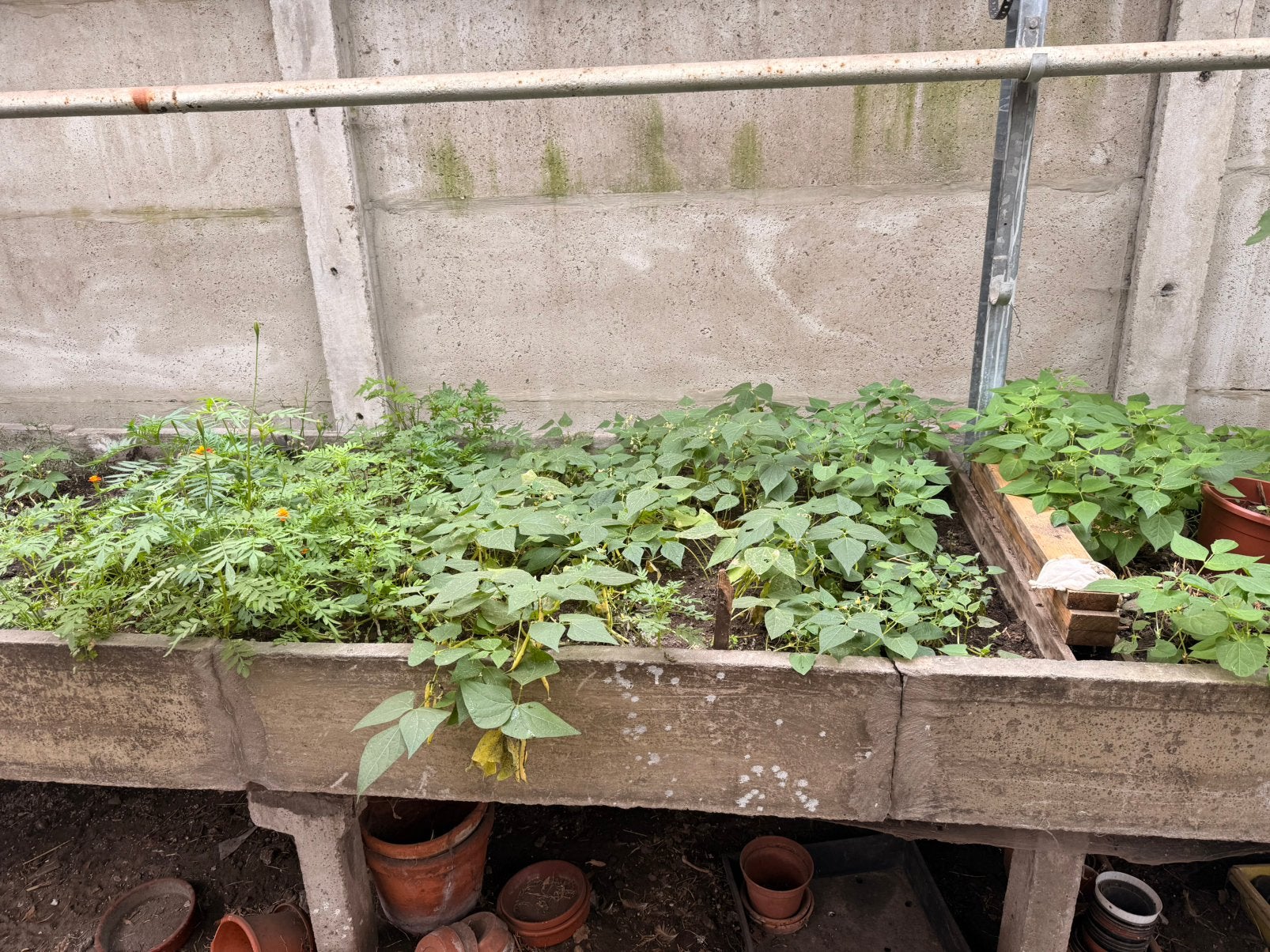 Betonnen kweekbedden goede staat, Tuin en Terras, Ophalen