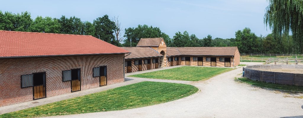 Stalling + begeleiding/opleiding/verkoop, Dieren en Toebehoren, B