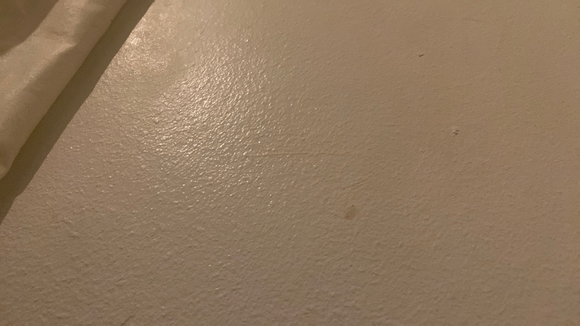 Bonjour, je recherche un petit appartement au studio, Immo