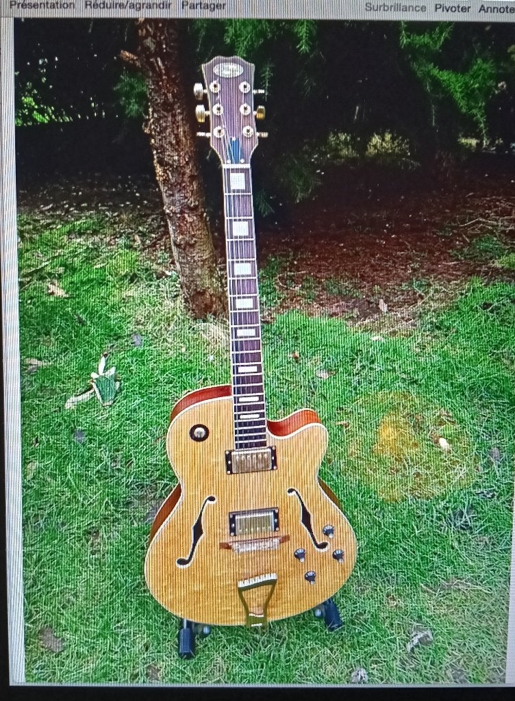 Guitare électrique hollow body, Musique & Instruments, Instruments à corde | Guitares | Électriques, Enlèvement, Utilisé, Hollow body