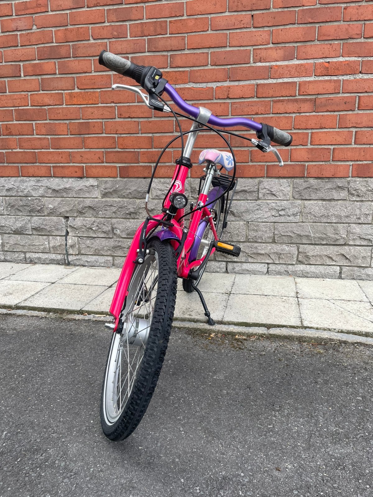 Meisjesfiets 20 inch, Fietsen en Brommers, Fietsen | Kinderfietsjes, Ophalen, Gebruikt, Velgrem, 16 tot 20 inch