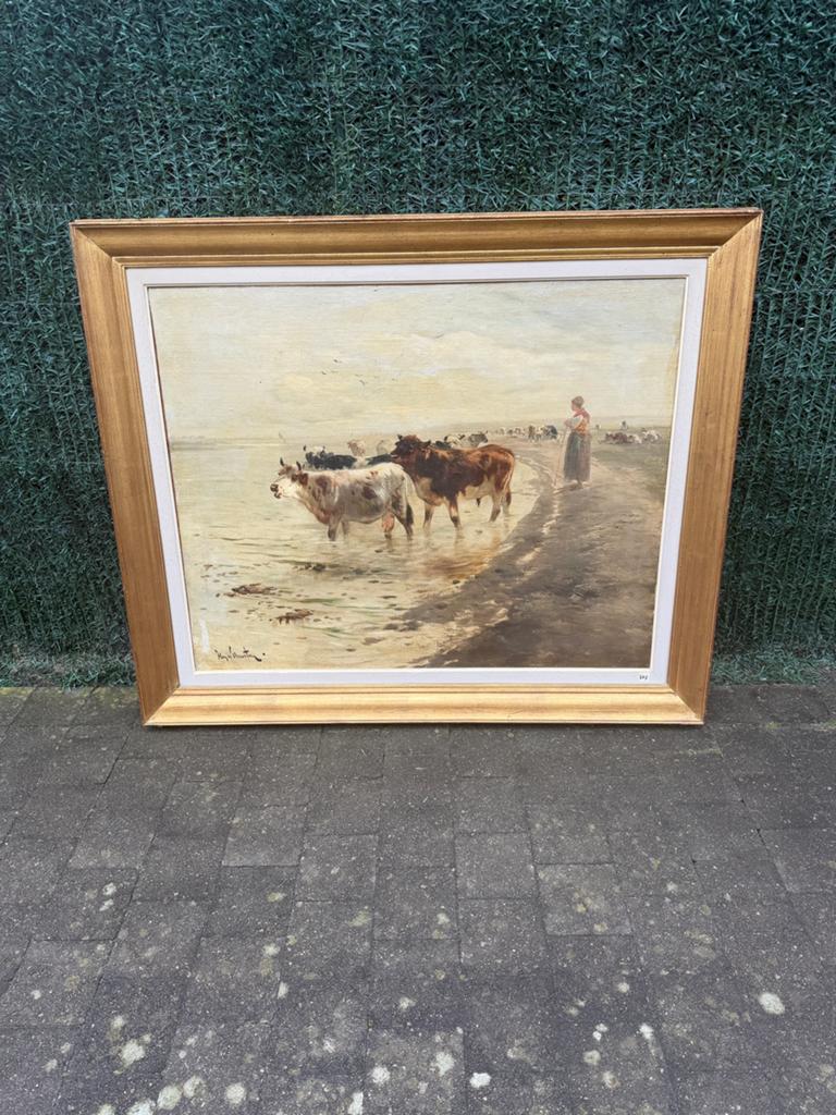 Groot schilderij met koeien, Ophalen