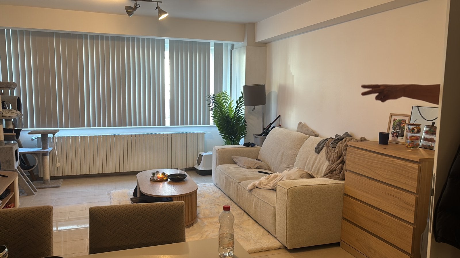 Salon tafel, Immo