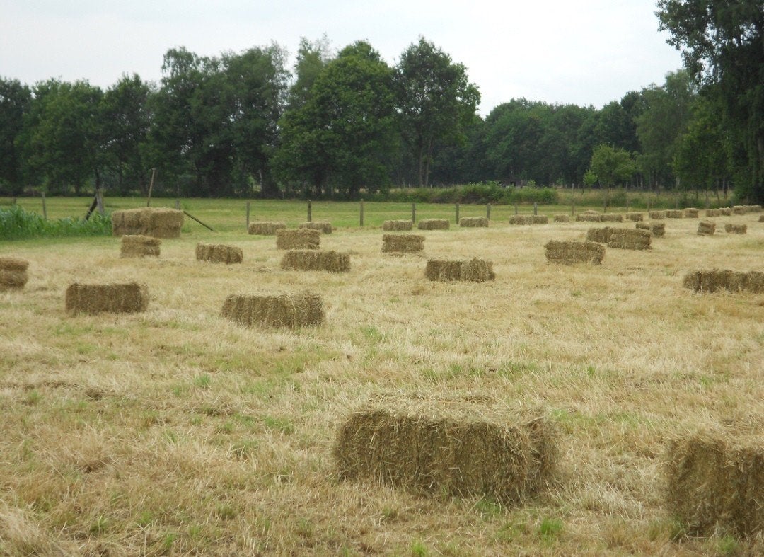 Kleine pakken hooi rechtstreeks van het veld, Ophalen